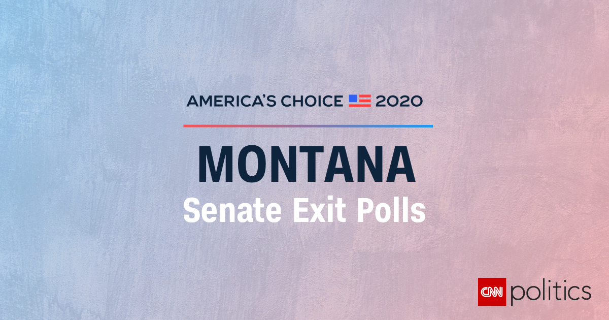 Montana 2020 U.S. Senate Exit Polls